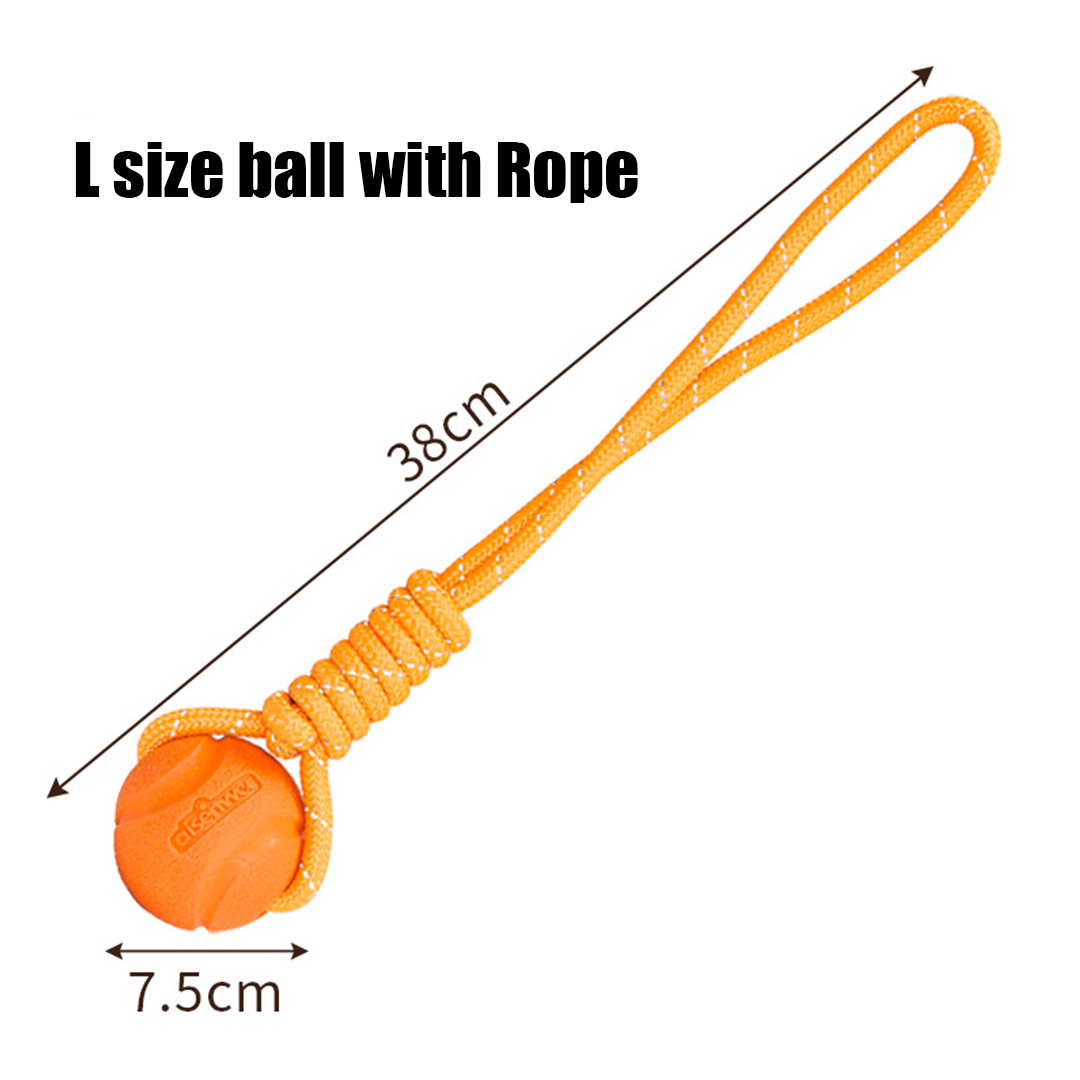 Durable Chew Ball for Dogs